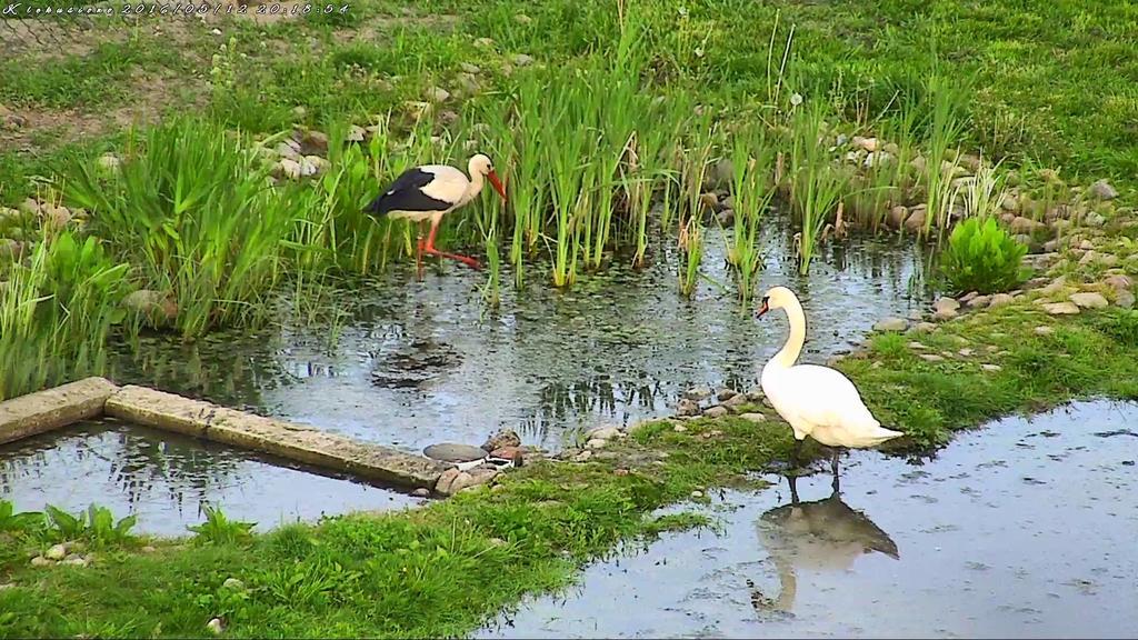 Agroturystyka Klekusiowo Boleslawiec  Buitenkant foto