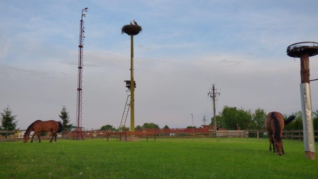 Agroturystyka Klekusiowo Boleslawiec  Buitenkant foto