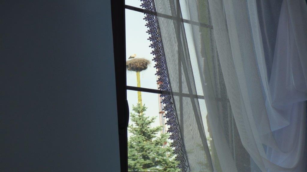 Agroturystyka Klekusiowo Boleslawiec  Buitenkant foto